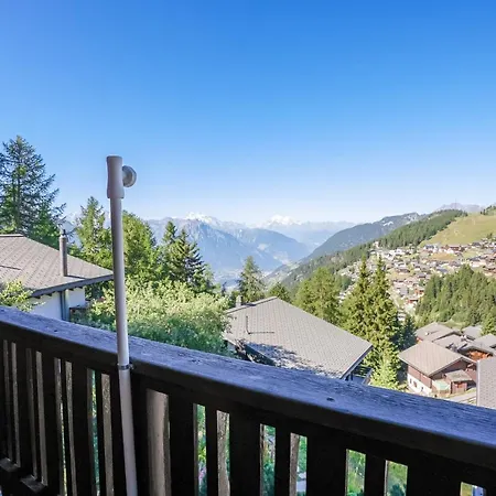 Mungg * بيتميرلاب